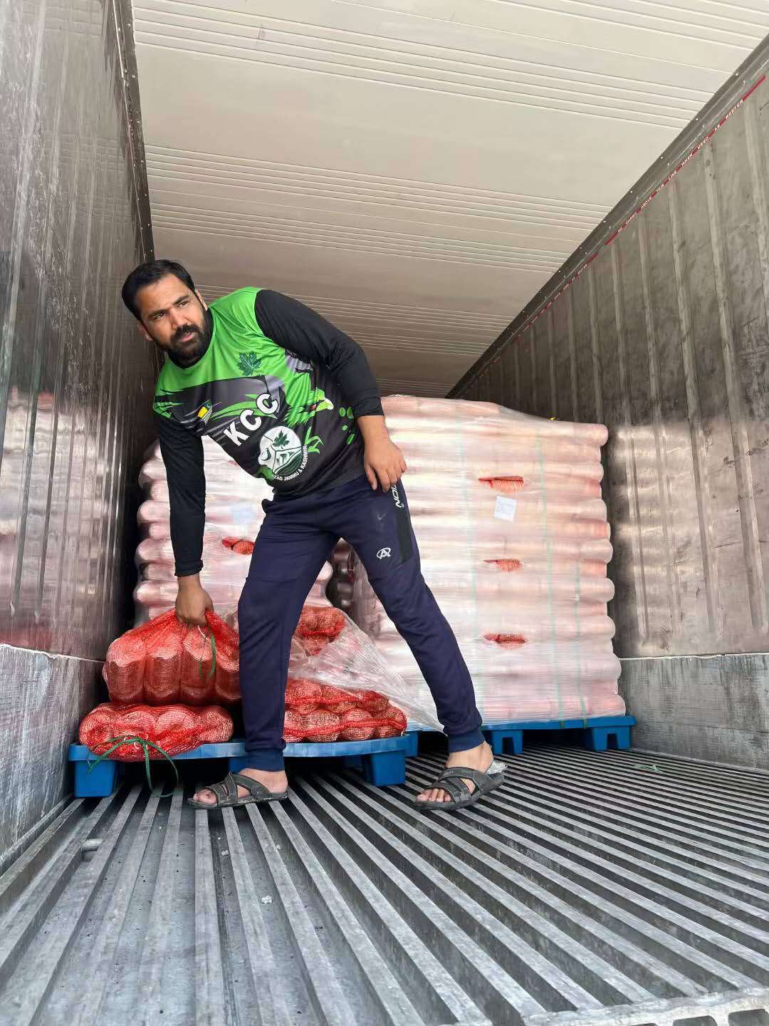Loading mushroom substrate bags for the Sharjah project
