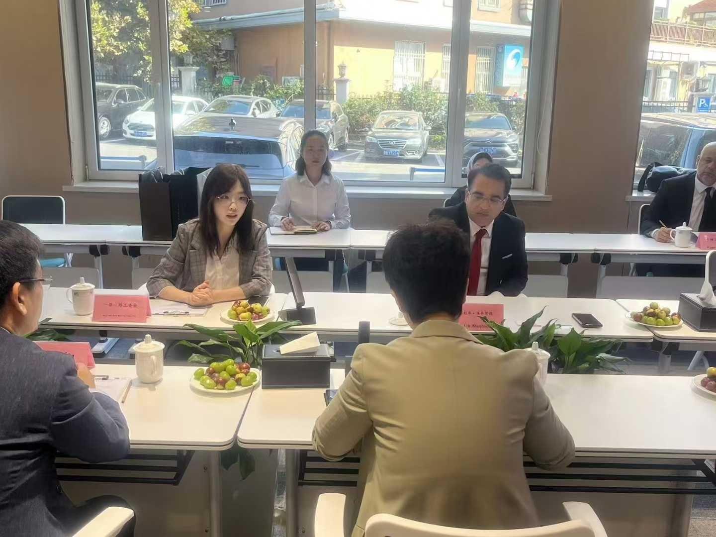Rheaura Group迪安娜女士与沙特投资方代表团项目洽谈 | Rheaura Group Diana Ding in project discussion with the Saudi investor delegation